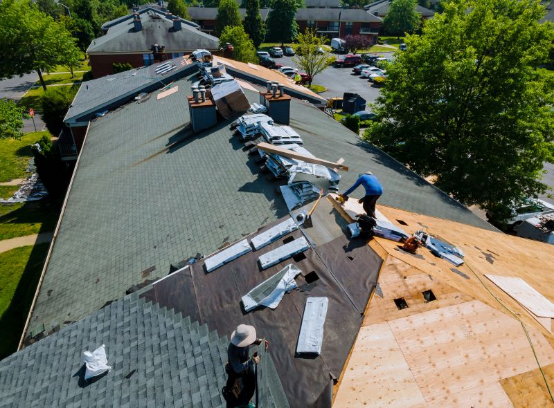 Summer Roofing Project